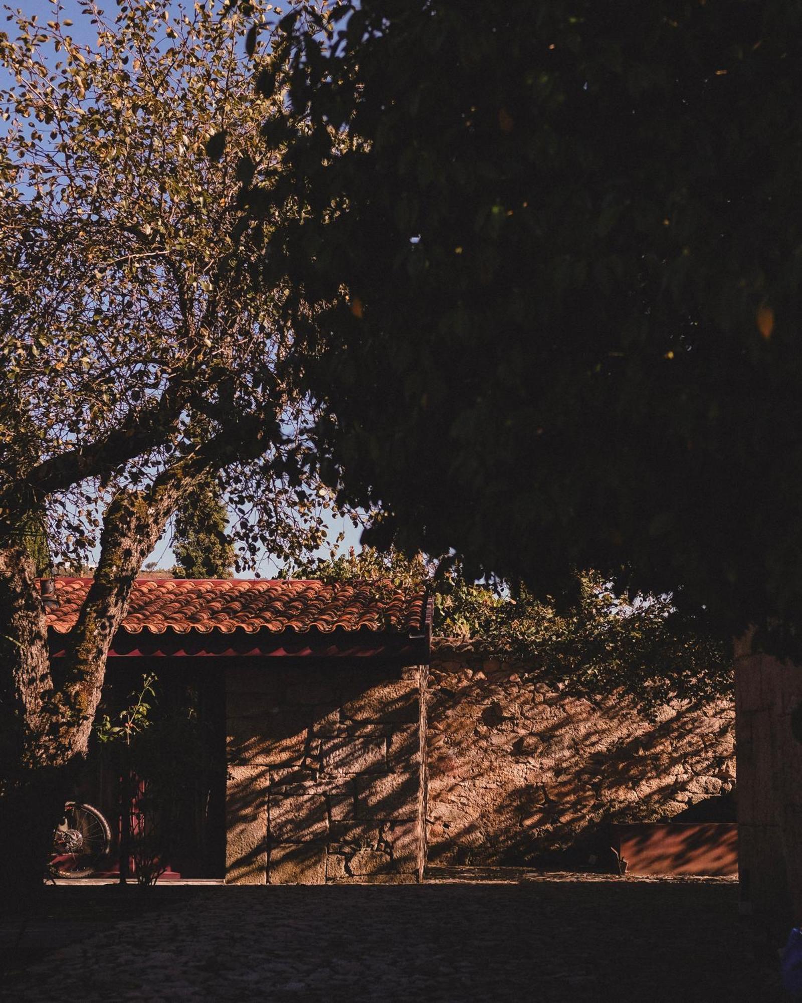 Casal De Tralhariz - Turismo De Habitacao Hotel Kültér fotó